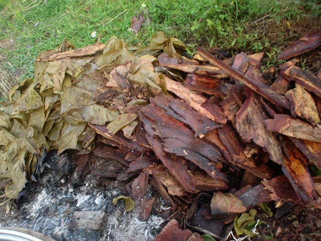 チェンマイコットン/草木染め チェンマイコットン/草木染め