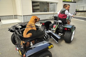 へいちゃん　バイク