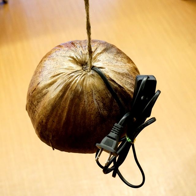 ココナッツランプ/アジアンインテリア ココナッツランプ/アジアンインテリア