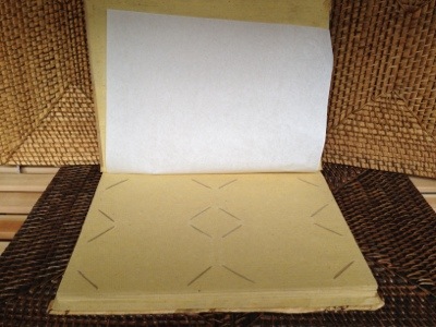 フォトアルバム 大 フォトアルバム 大