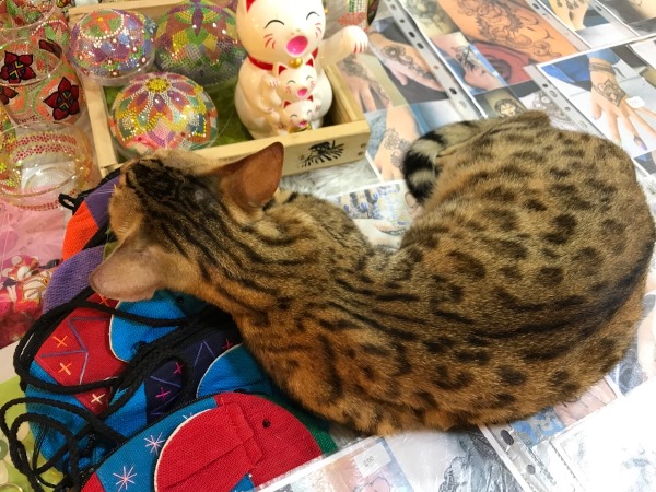 チェンマイ・ナイトマーケット チェンマイ・ナイトマーケット