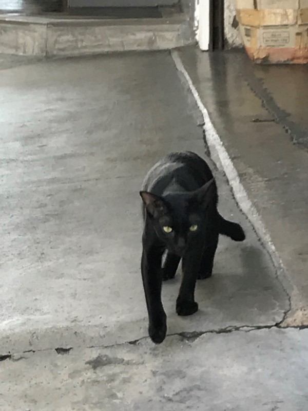 チェンマイ チェンマイ