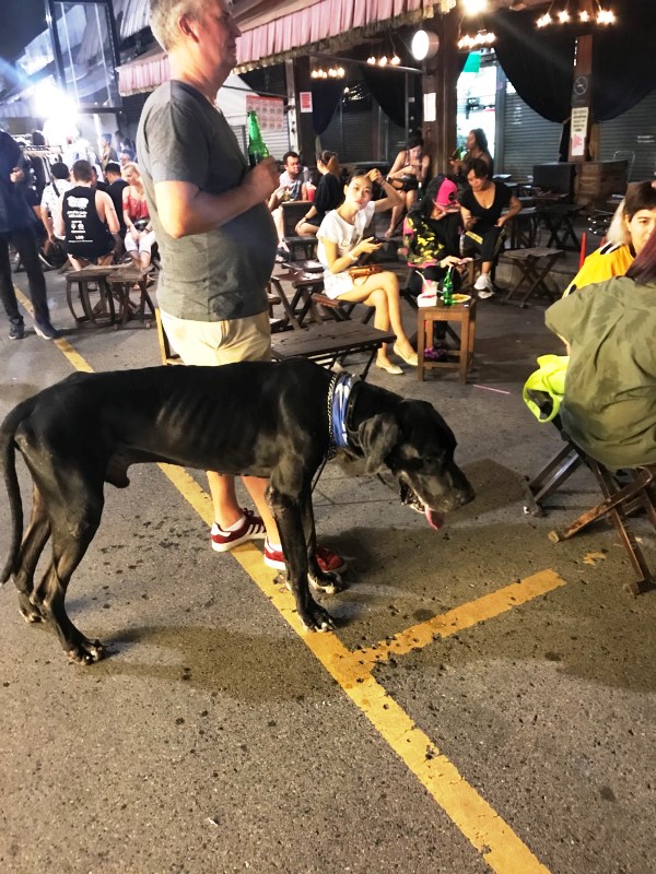 チャトチャックウィークエンドマーケット チャトチャックウィークエンドマーケット