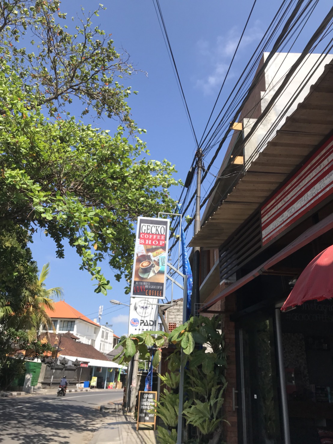 サヌール　ゲッコーカフェ