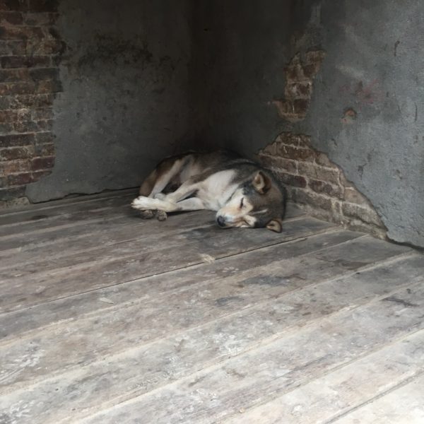 ネパール／カトマンズ