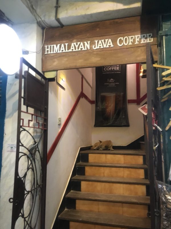 ヒマラヤンジャワコーヒー