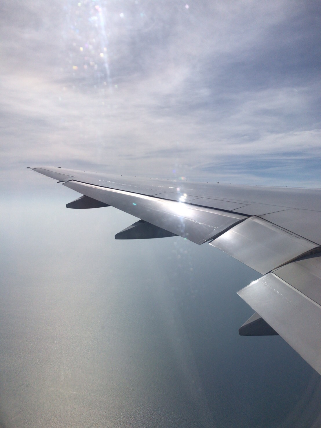 タイ航空 仕入れ