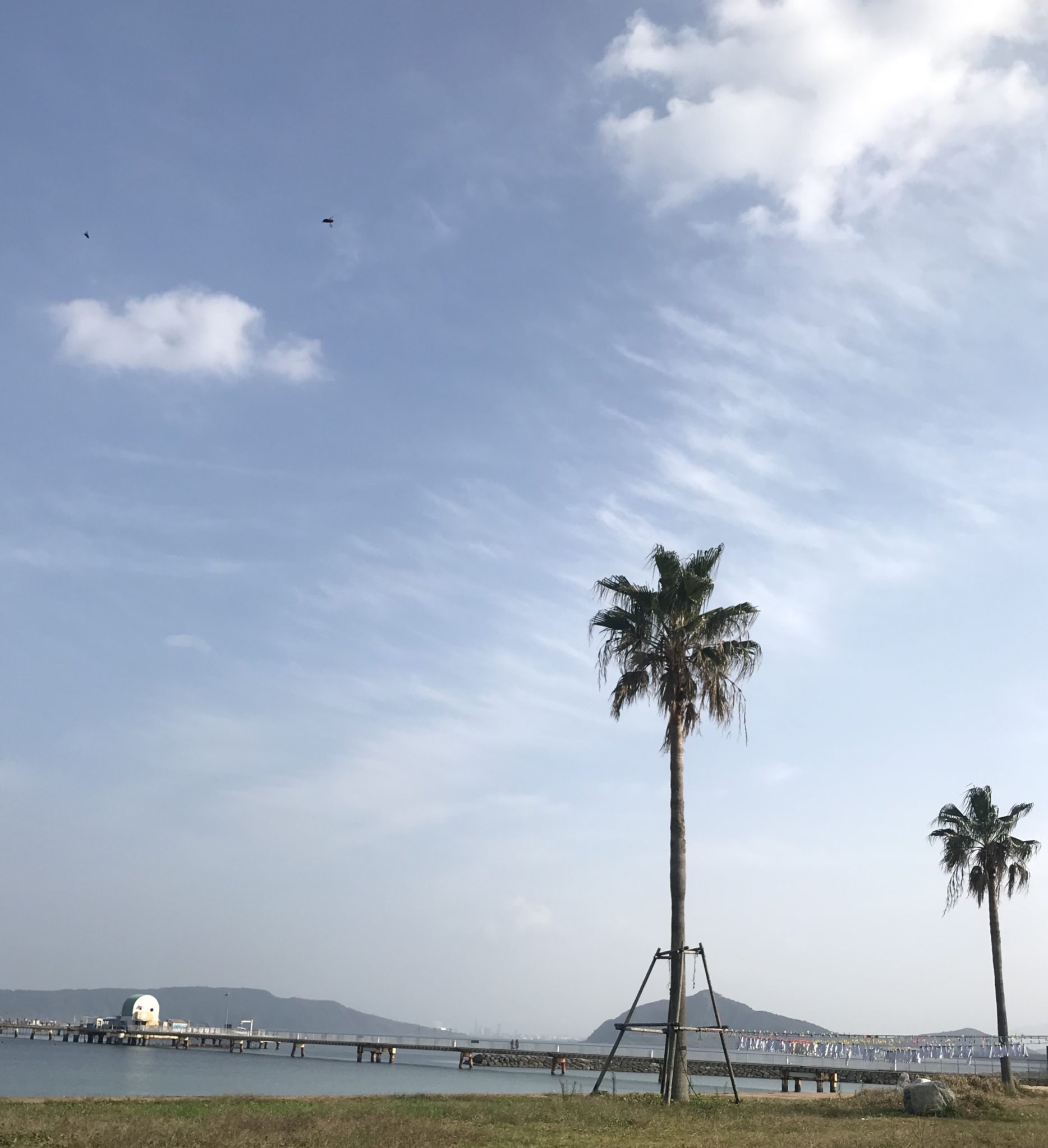 海釣り公園 牡蠣小屋