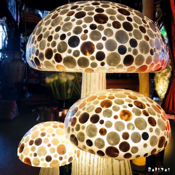 シェルランプ／キノコのランプ