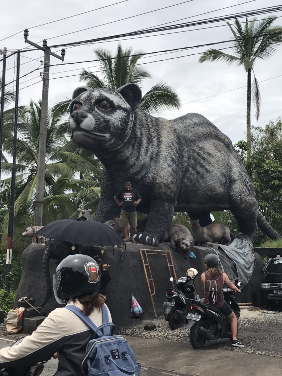 コピルアック，ジャコウネコ