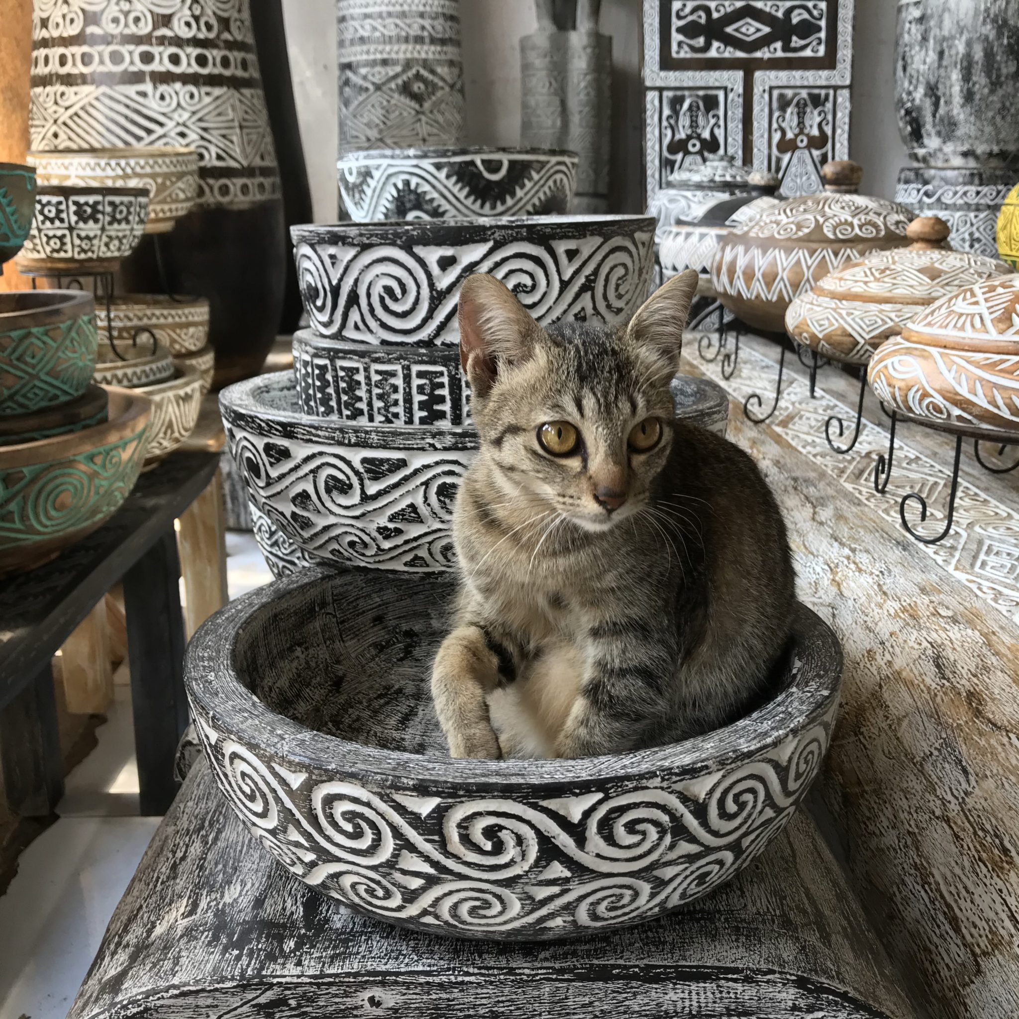 テガララン・ティモール