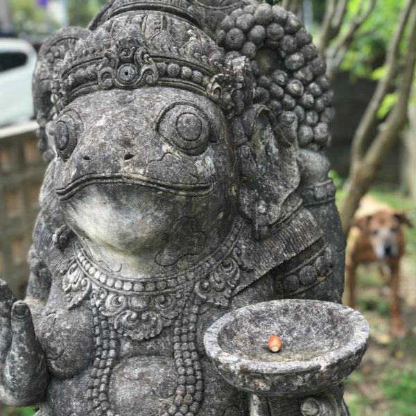 どんぐり,ガネーシャ,チャナン