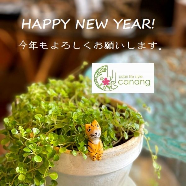 新年明けましておめでとうございます。