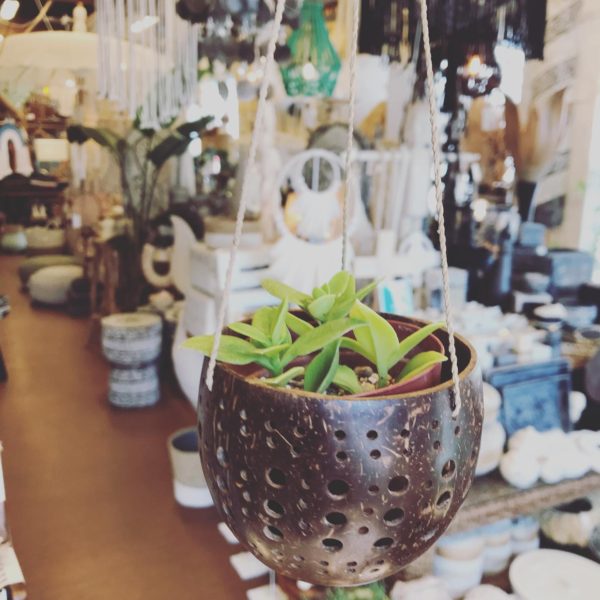 ハンギングポット