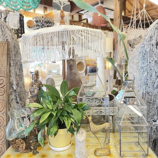 定休日／BOHOインテリア