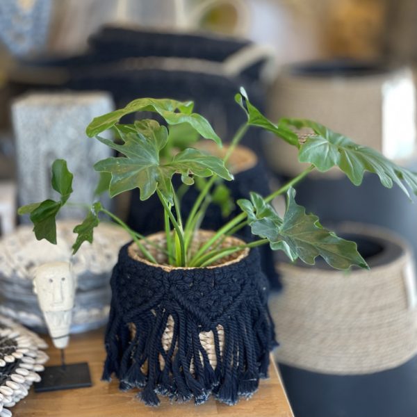 マクラメ かご 観葉植物