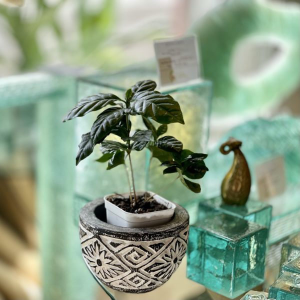 鉢カバー ポット