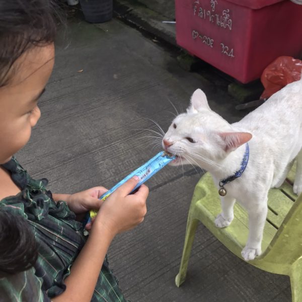 猫用コカイン KittyCrack チャオチュール