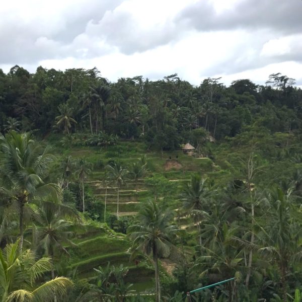 テガララン・ライステラス