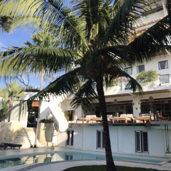 バリ島の仕入れ