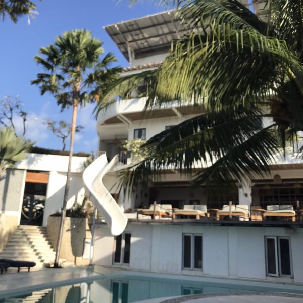 バリ島の仕入れ