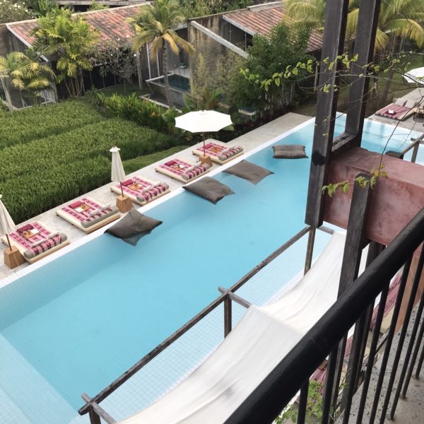 ショア・アモラ バリ島仕入れ