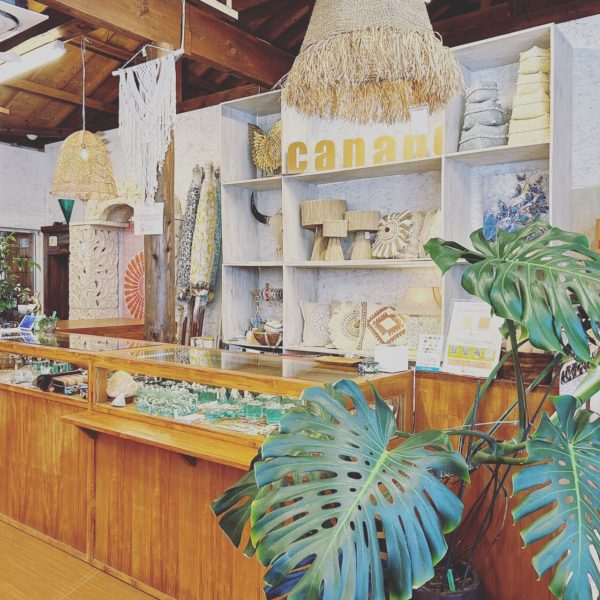 秋の店内模様替え