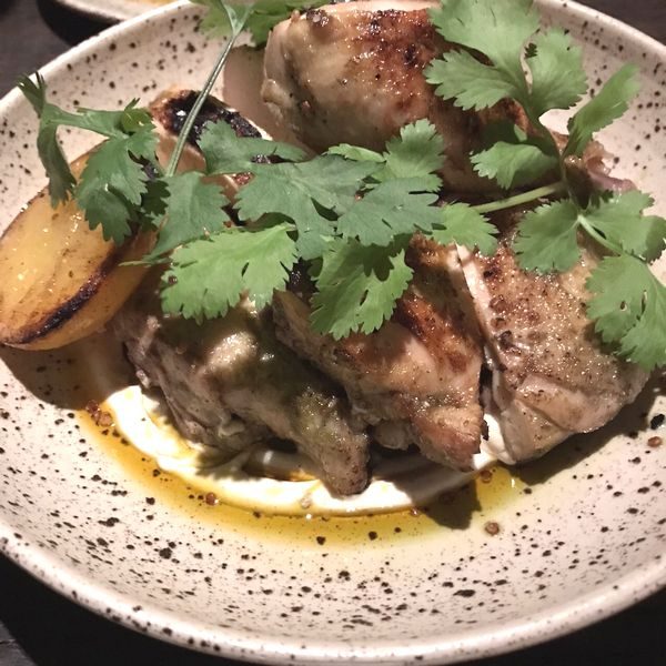 シェルターバリ