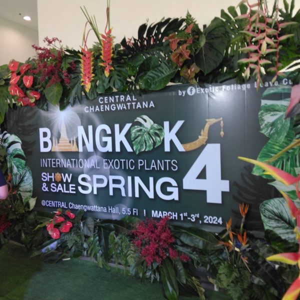 タイ仕入れ　バンコクエキゾチックプランツフェア