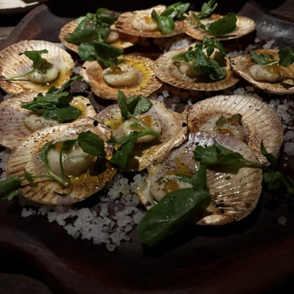 Shelter Restaurantシェルターレストラン　ペレレナン