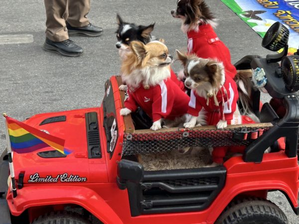 チェンマイフラワーフェスティバル　パレード