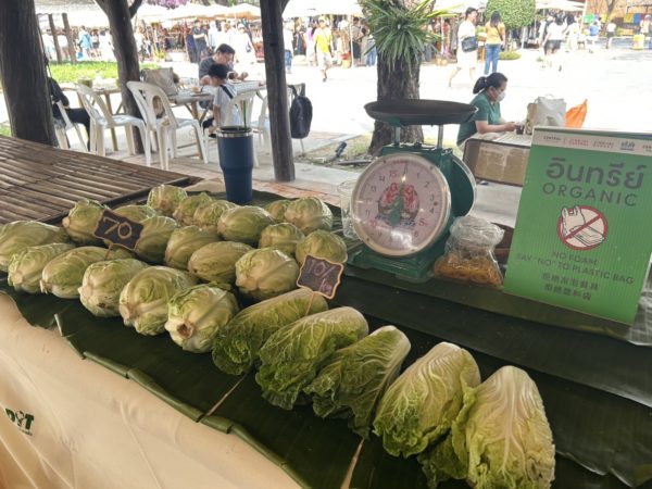 ジンジャイマーケット