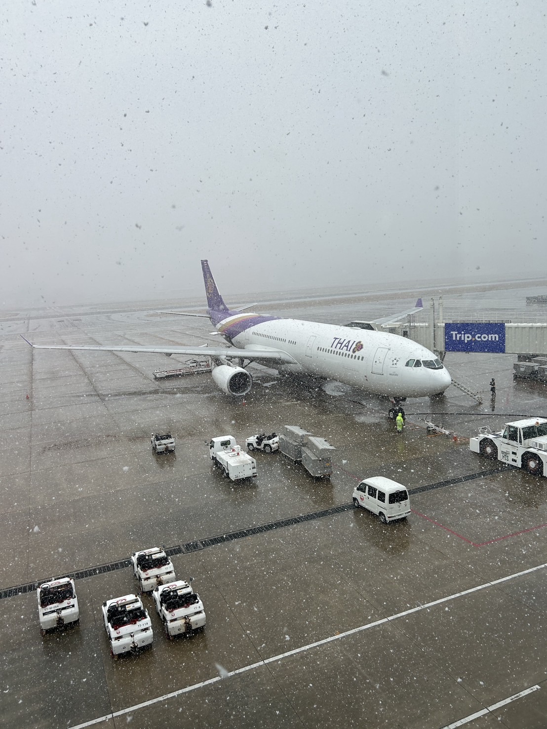 福岡空港 タイ航空 TG 仕入れ