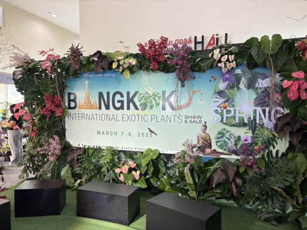 バンコクインターナショナルエキゾチックプランツフェア