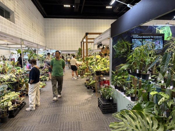 バンコクインターナショナルエキゾチックプランツフェア