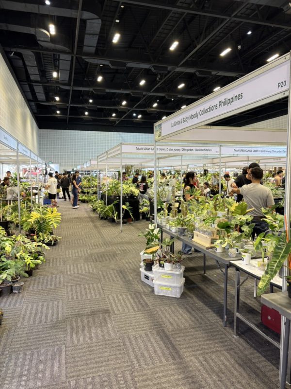 バンコクインターナショナルエキゾチックプランツフェア