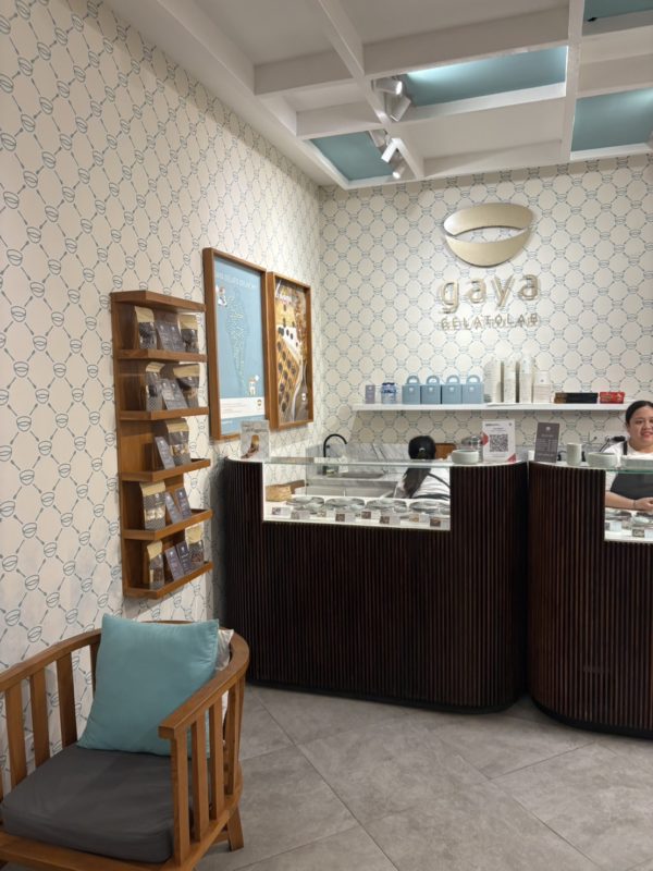 バリ島仕入れ チャングー