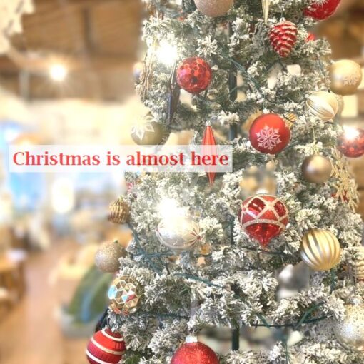 クリスマスツリー／クリスマスシーズン