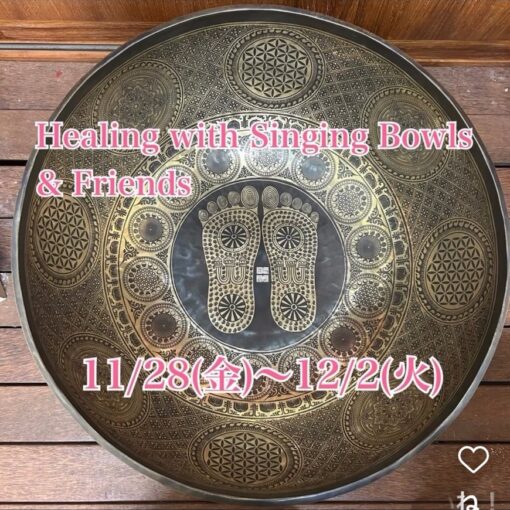 pop up store／barrebarre