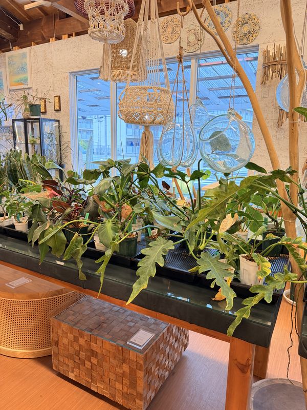 定休日 チャナン店内