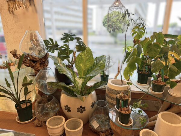 アジアンインテリア