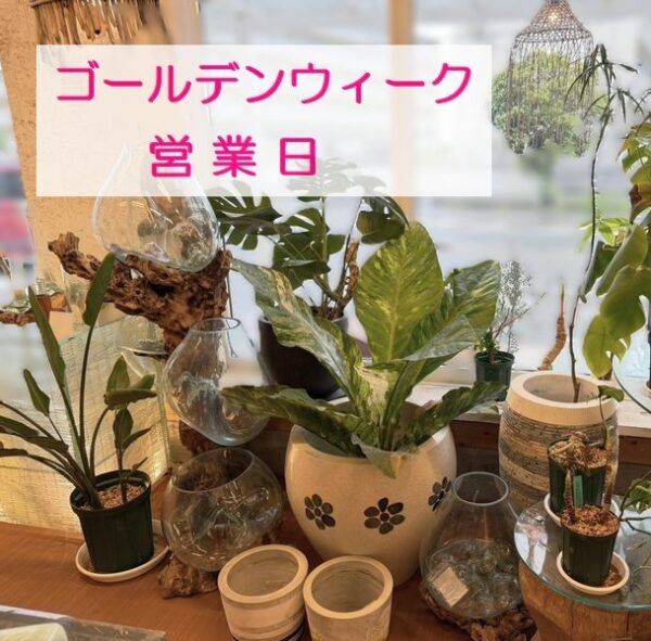 アジアンインテリア