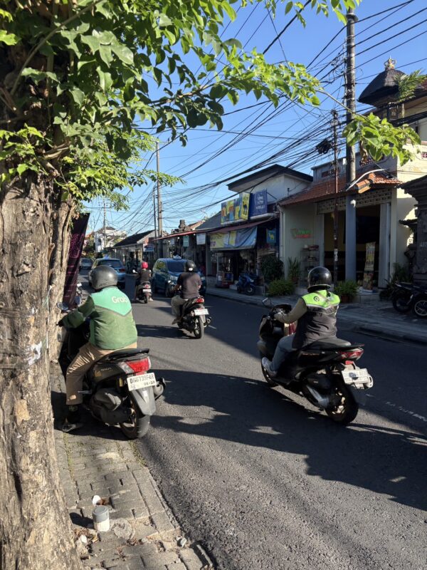 バリ島 仕入れ