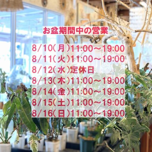 お盆の営業日　営業日