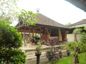 1月24日②CAMEZN9U