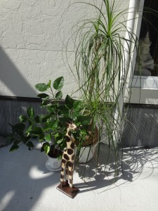 木彫りのキリン