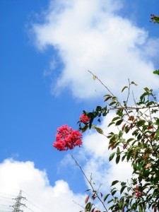 長谷ダム '10.9.30