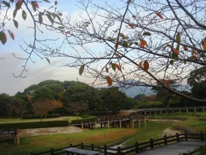 駕与丁公園・初秋