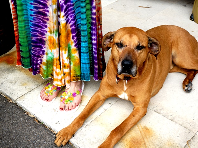 ビーチサンダル ビーチサンダル