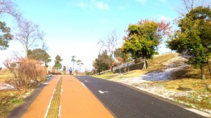 青葉公園